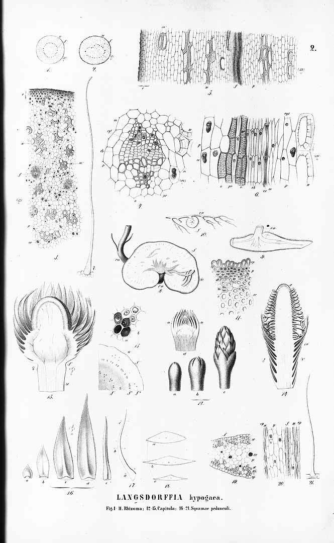 no HD illustration available (3)