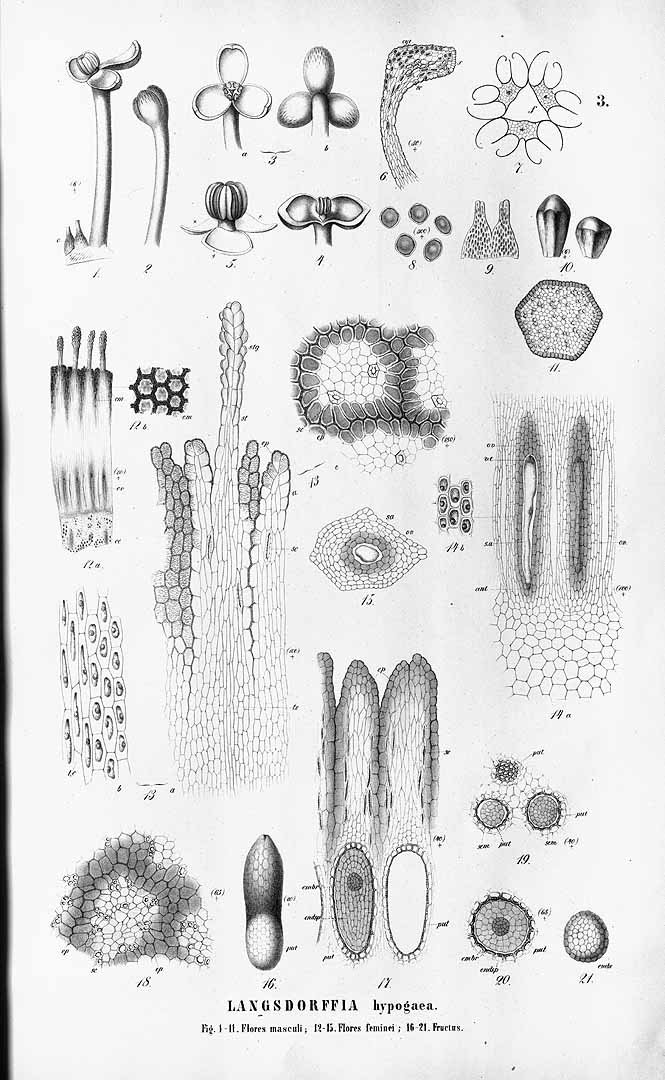 no HD illustration available (3)