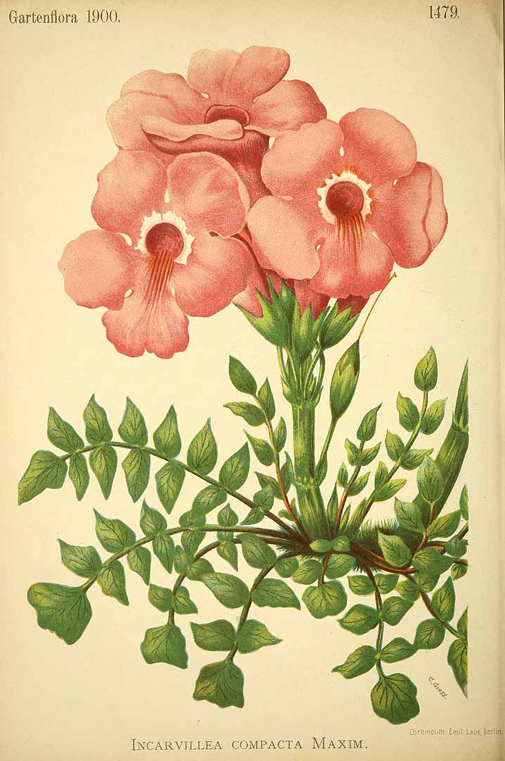 no HD illustration available (3)