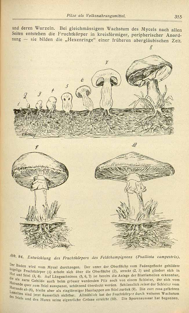 no HD illustration available (3)