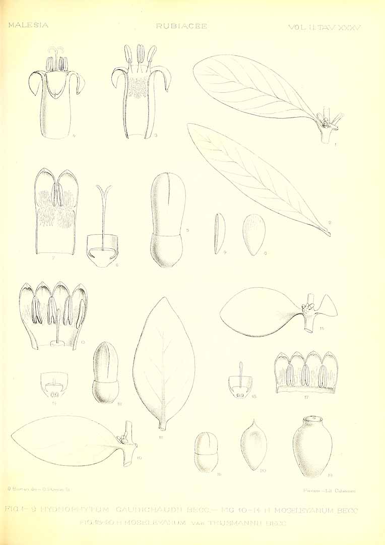 no HD illustration available (3)