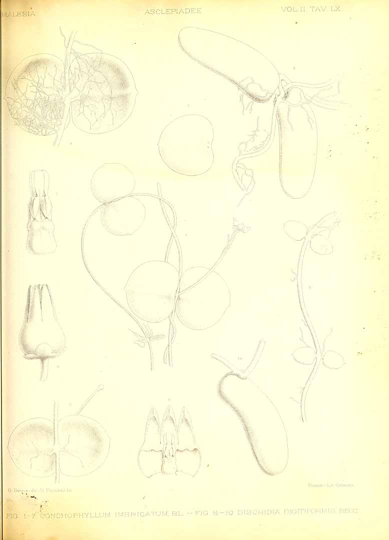 no HD illustration available (3)