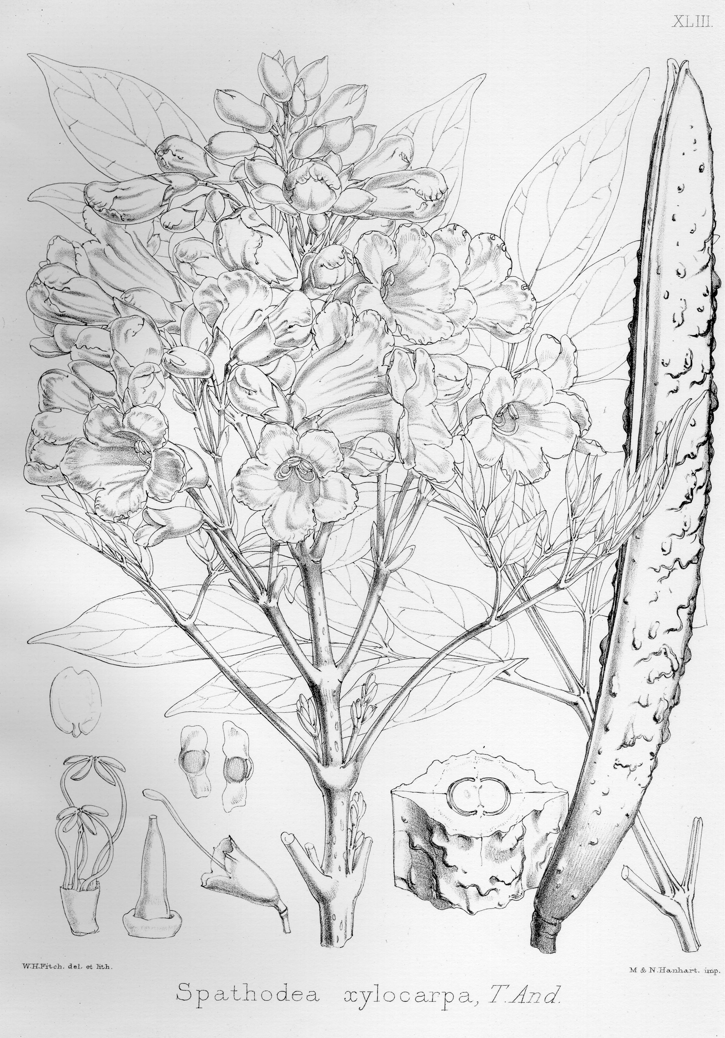 no HD illustration available (3)
