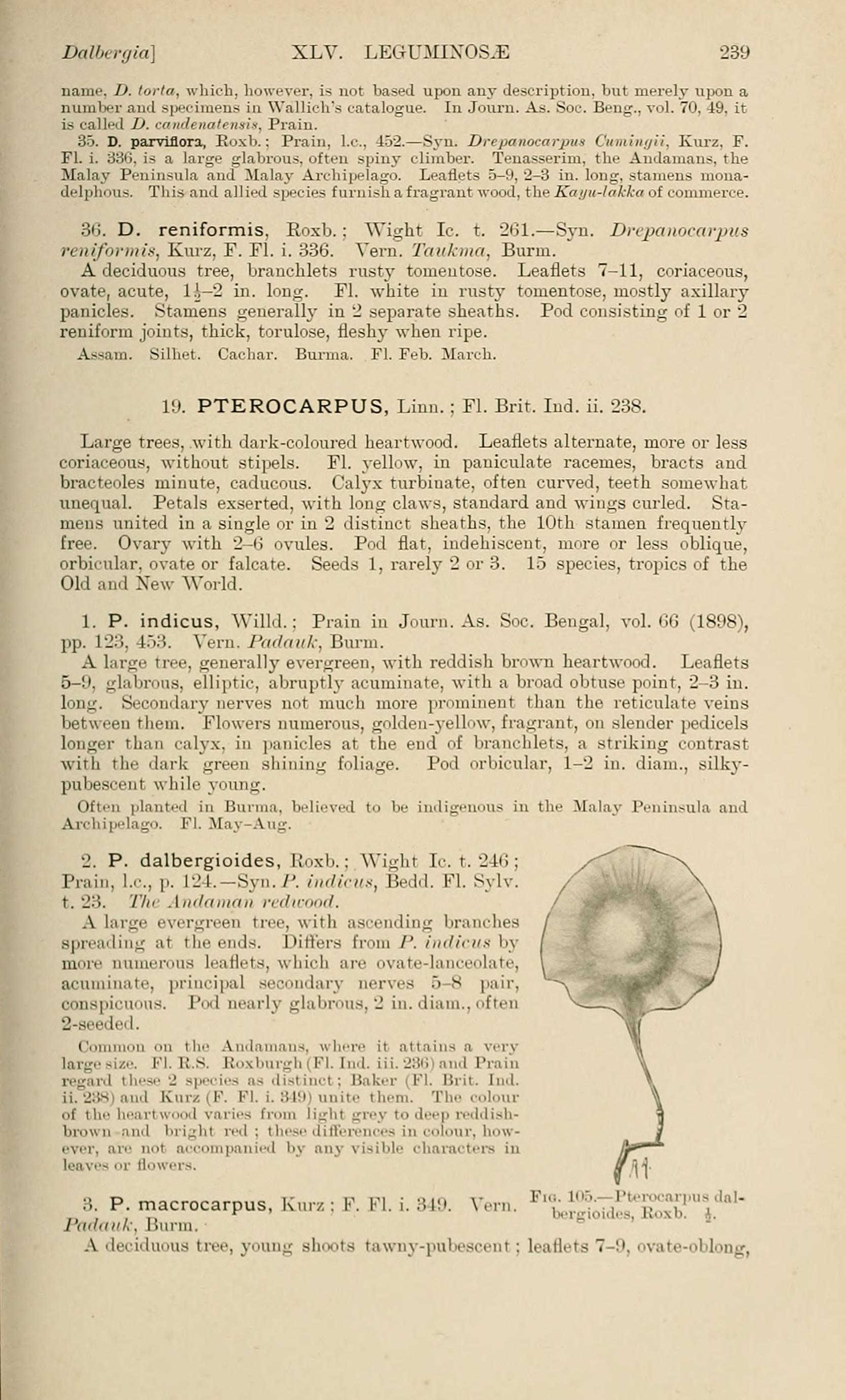 no HD illustration available (3)