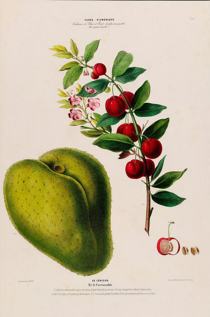 no HD illustration available (3)