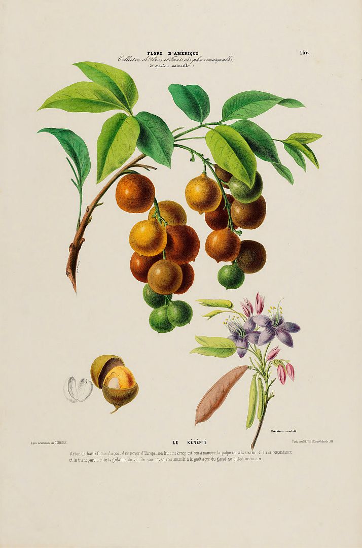 no HD illustration available (3)