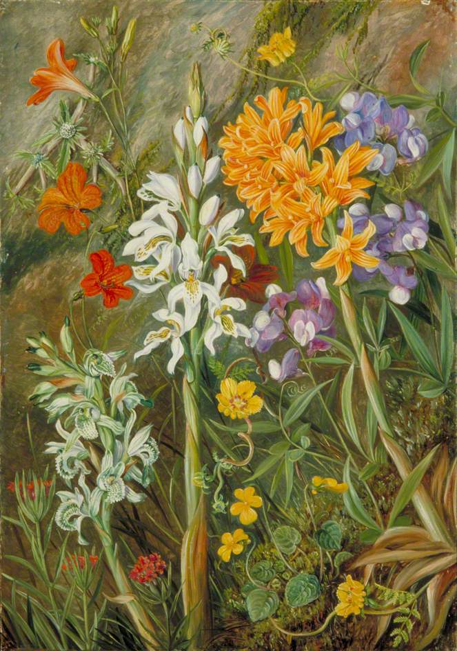 no HD illustration available (3)