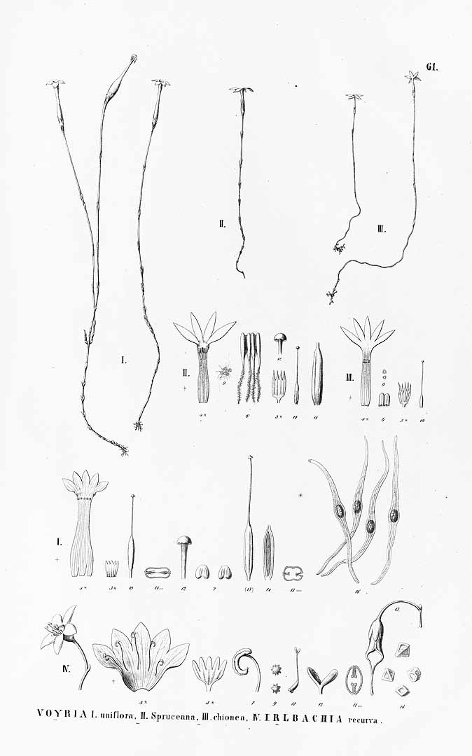 no HD illustration available (3)