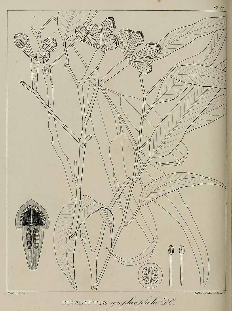 no HD illustration available (3)