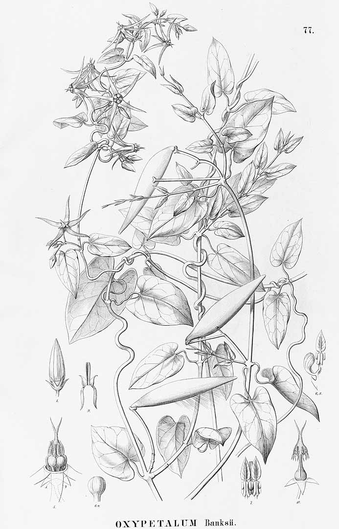 no HD illustration available (3)