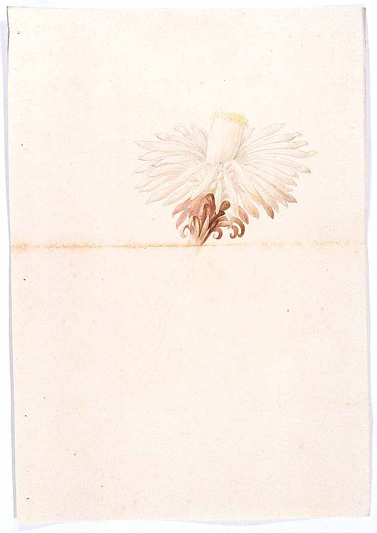 no HD illustration available (3)
