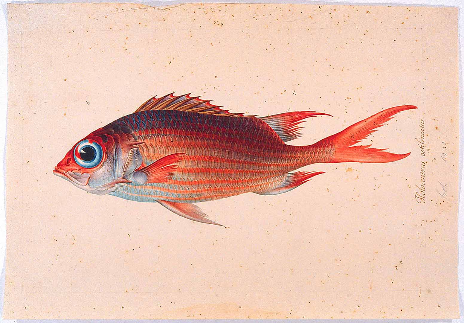 no HD illustration available (m2)