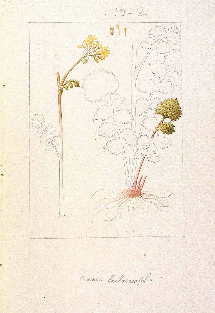no HD illustration available (3)