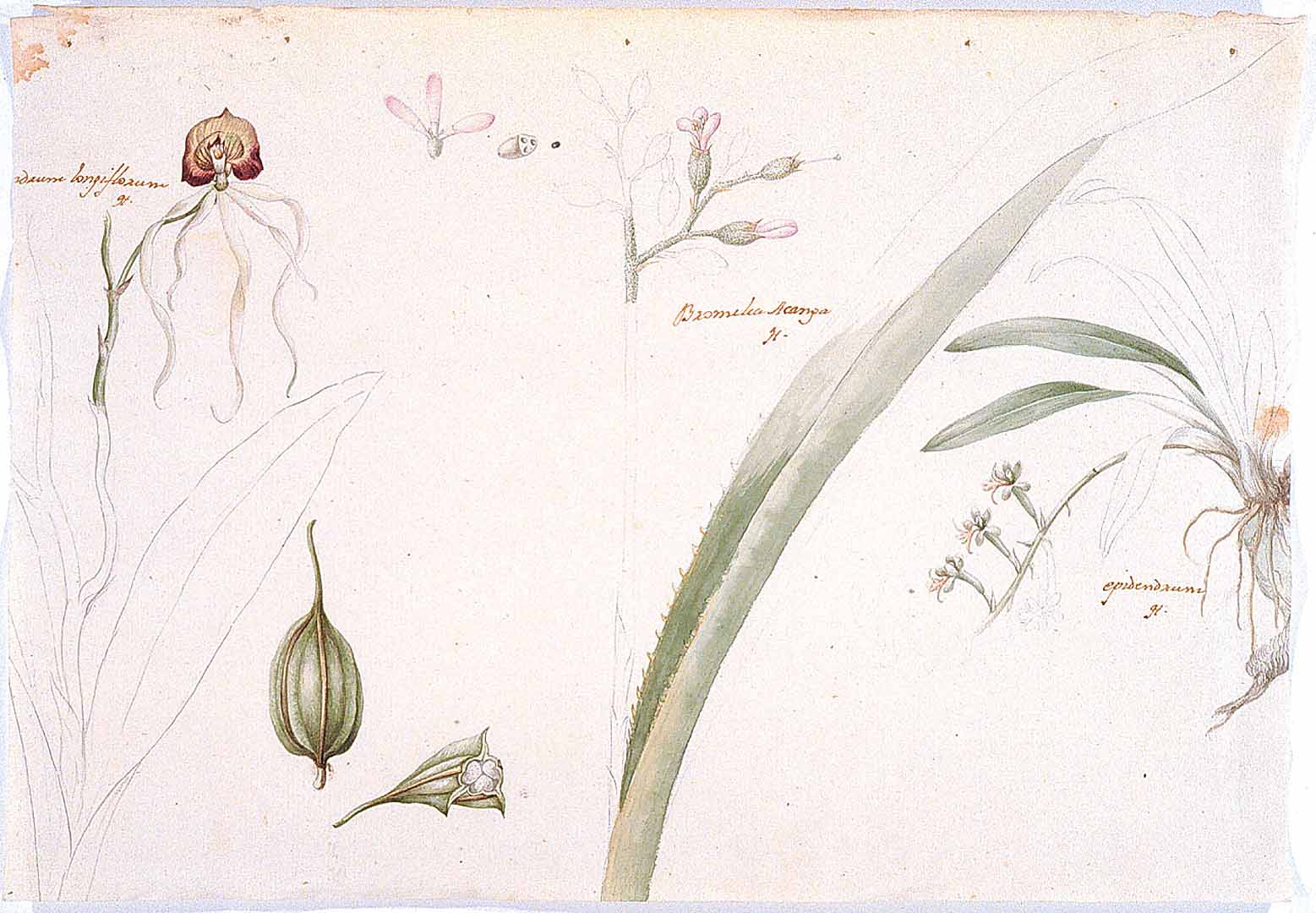 no HD illustration available (m2)