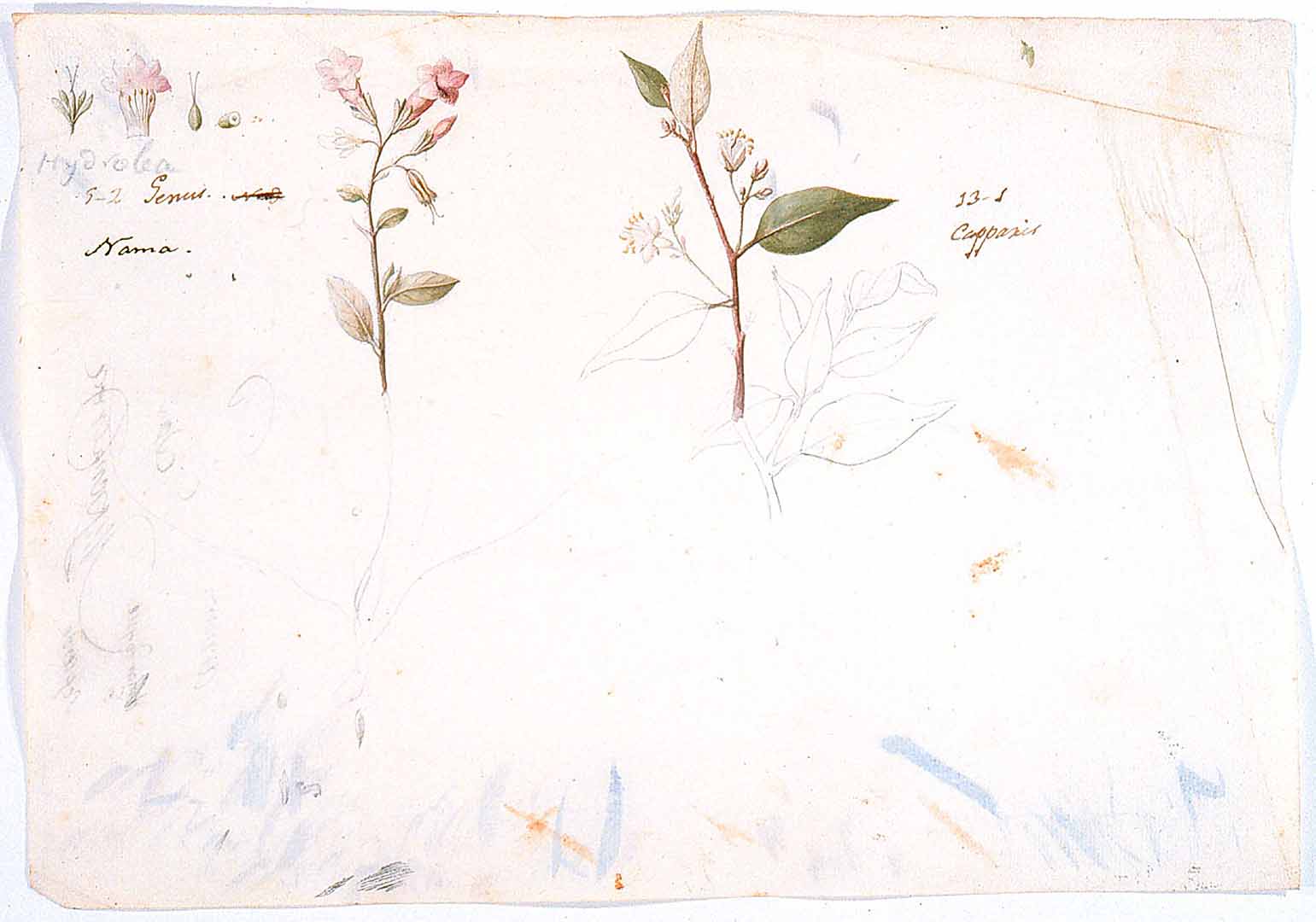 no HD illustration available (3)