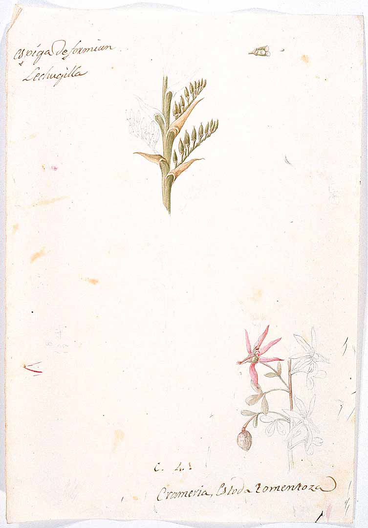 no HD illustration available (3)