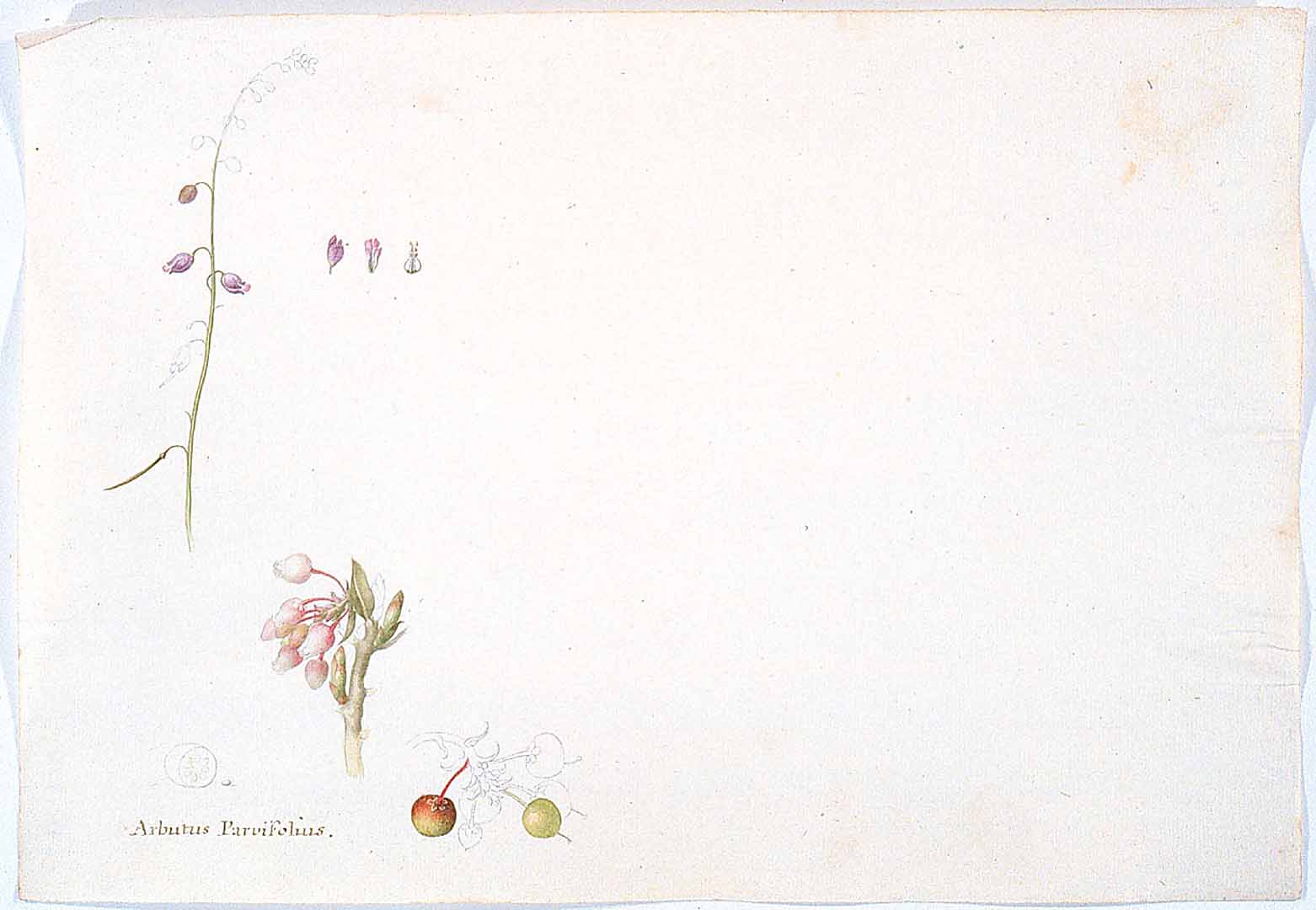 no HD illustration available (3)