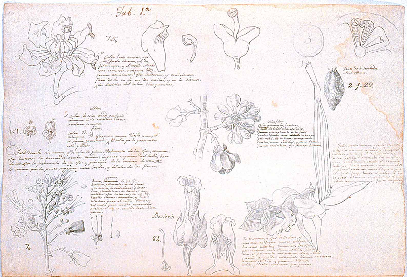 no HD illustration available (3)