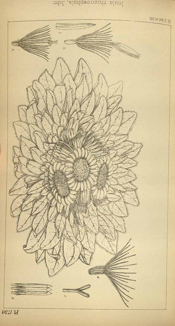 no HD illustration available (m1)