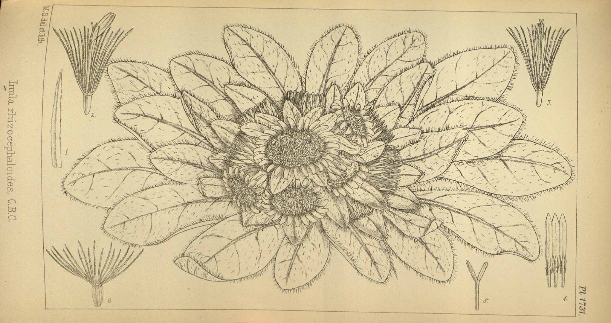 no HD illustration available (m2)