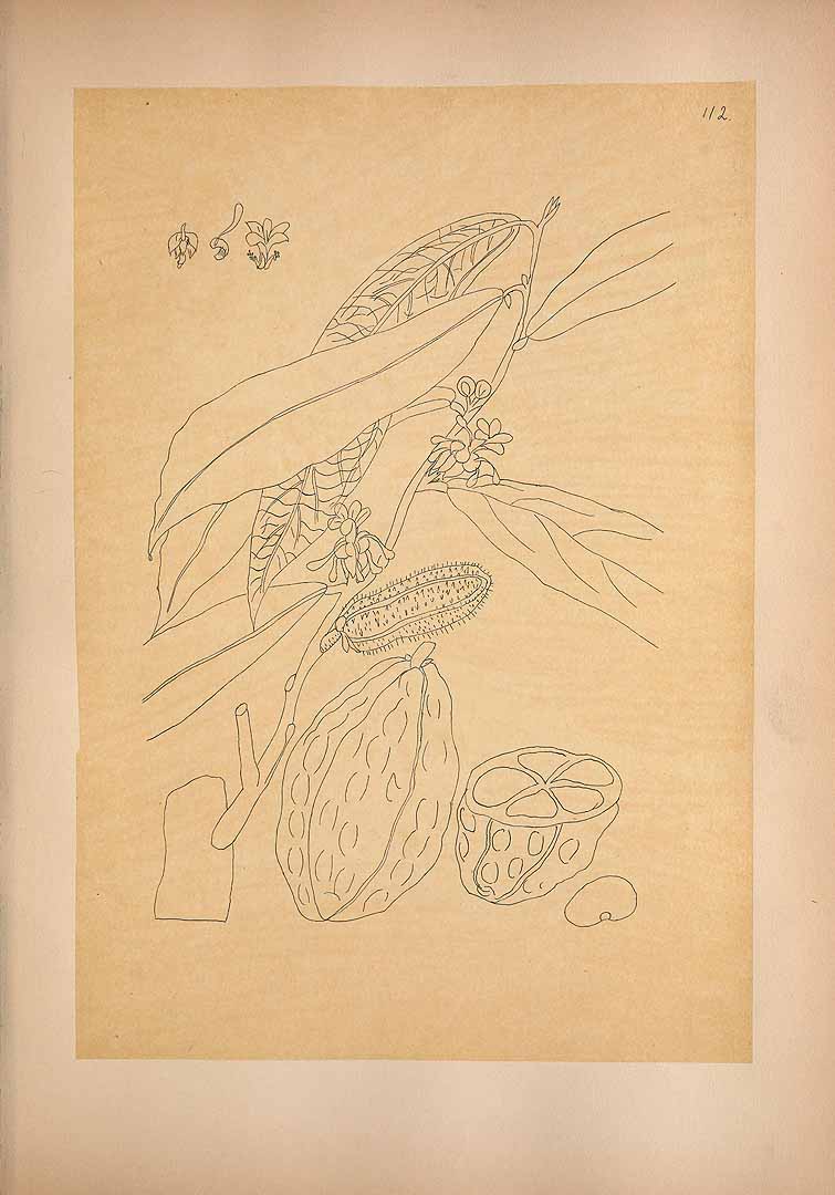 no HD illustration available (m1)