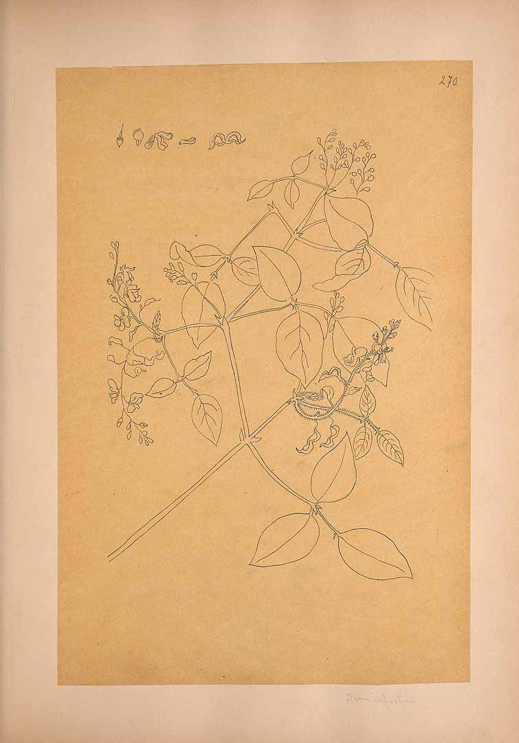 no HD illustration available (3)