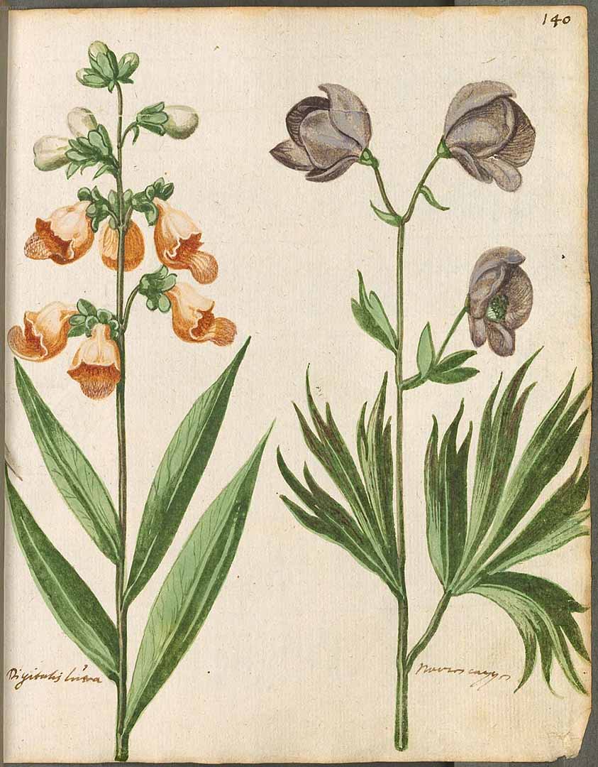 no HD illustration available (3)