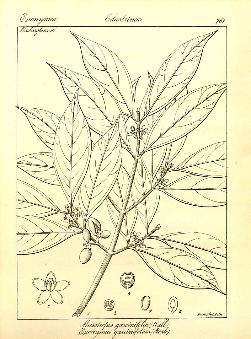 no HD illustration available (3)