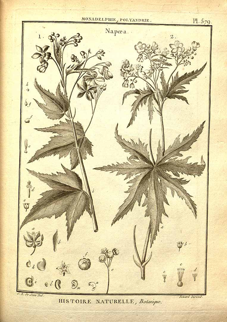no HD illustration available (3)