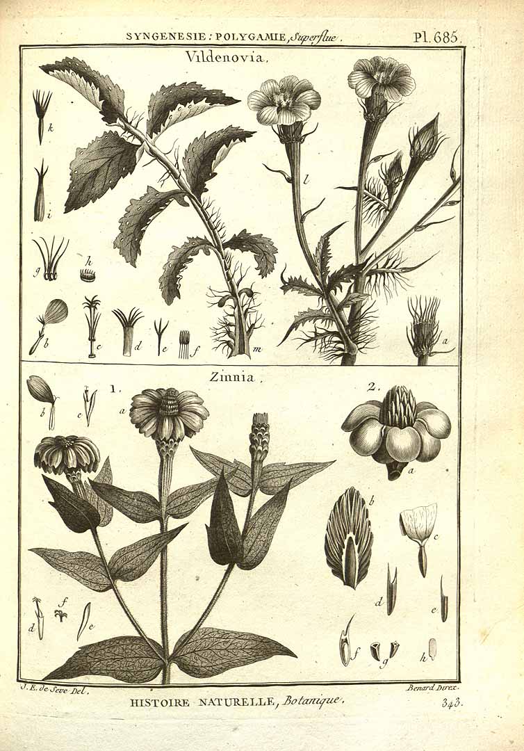 no HD illustration available (3)