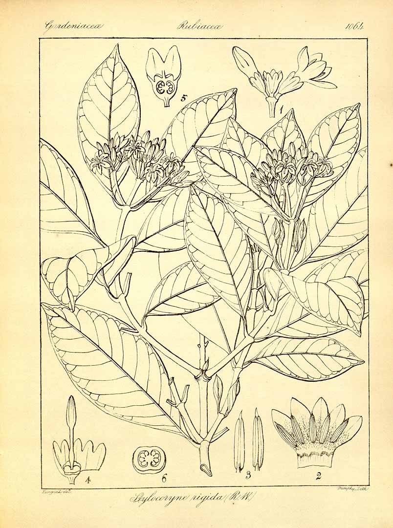 no HD illustration available (3)