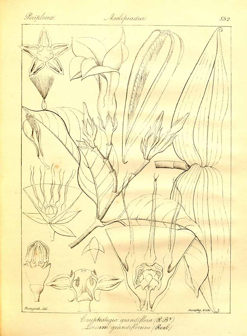 no HD illustration available (3)