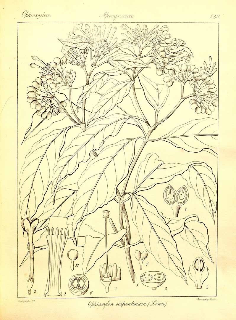 no HD illustration available (3)