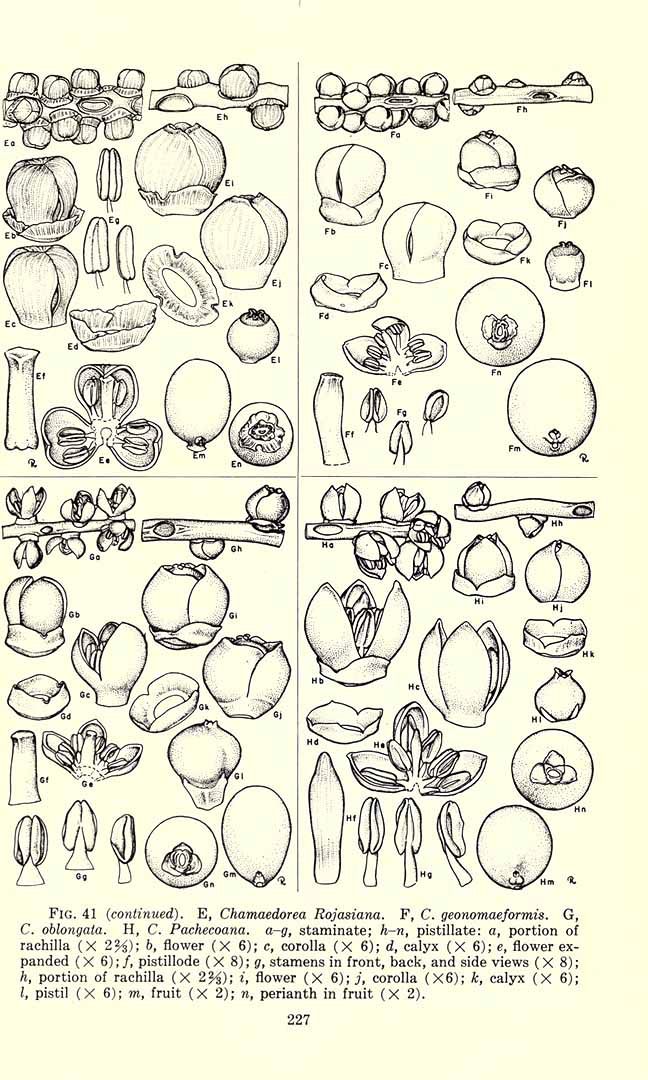 no HD illustration available (3)