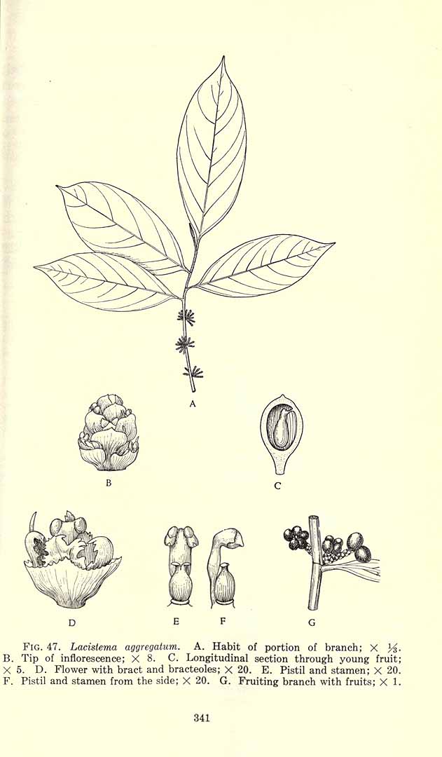 no HD illustration available (3)