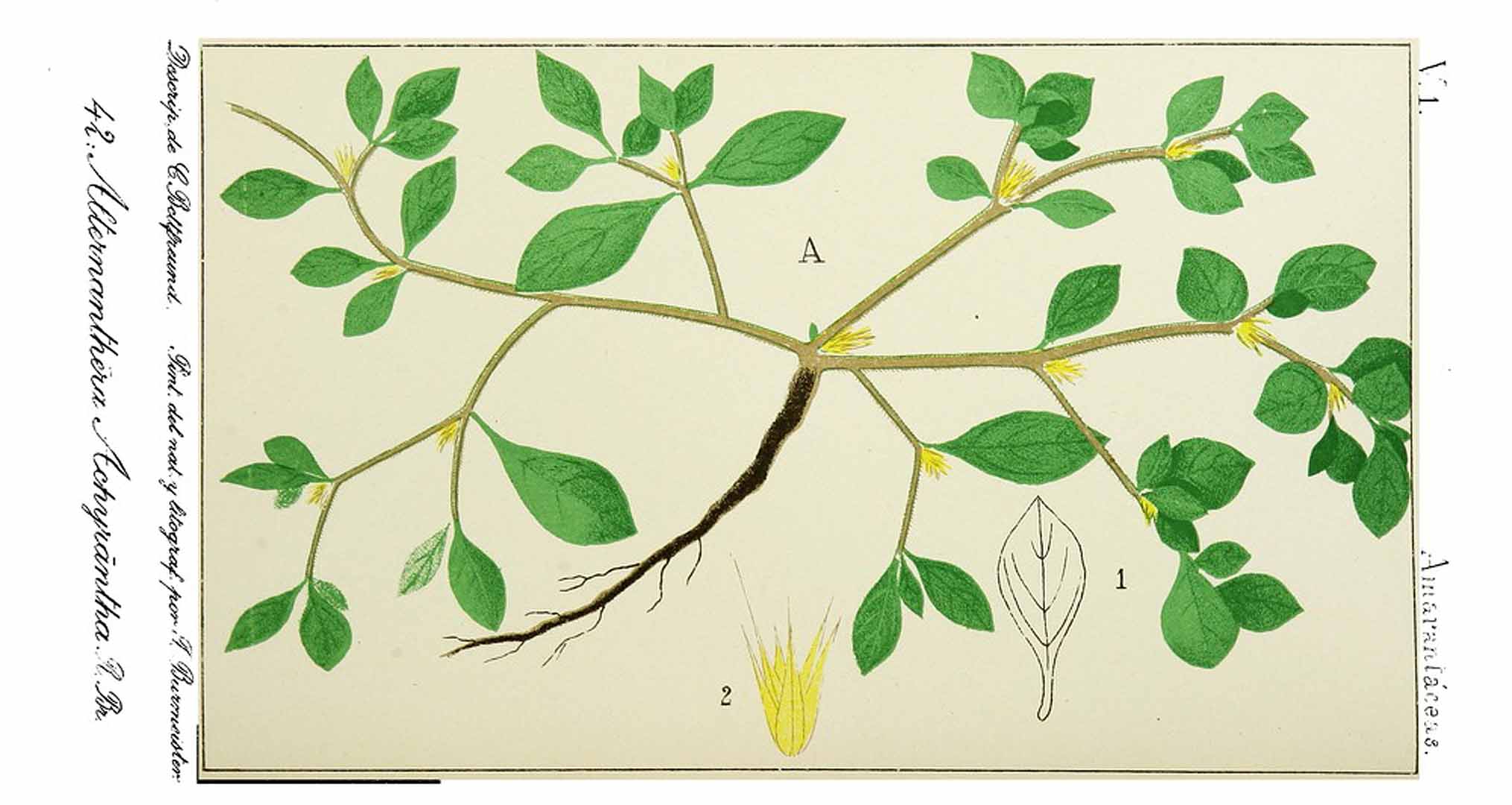 no HD illustration available (3)