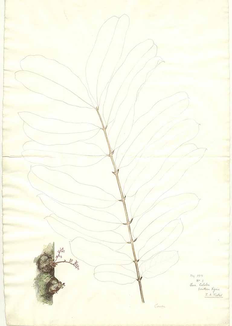 no HD illustration available (m1)