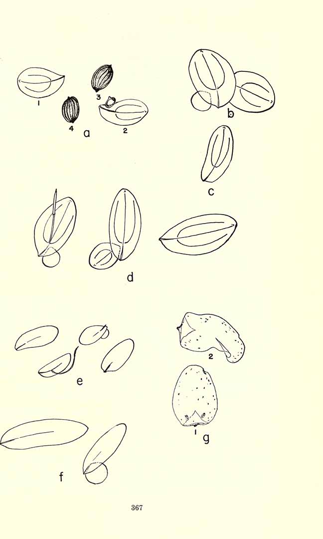 no HD illustration available (3)