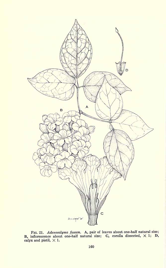 no HD illustration available (m1)