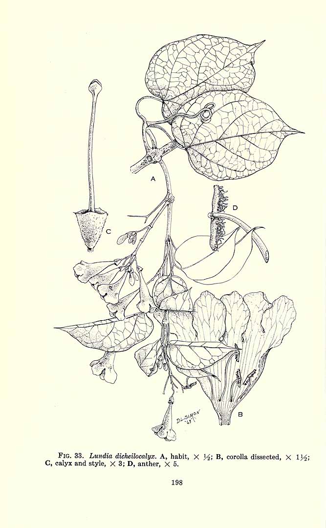 no HD illustration available (m1)