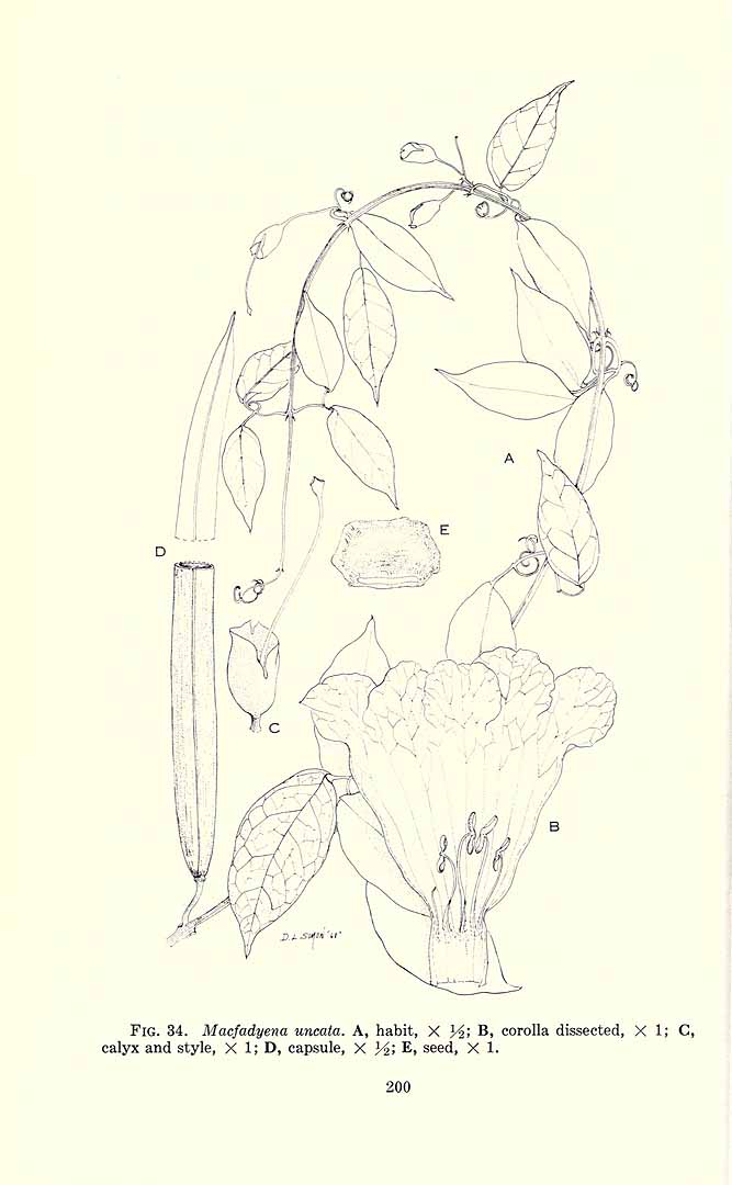 no HD illustration available (m1)