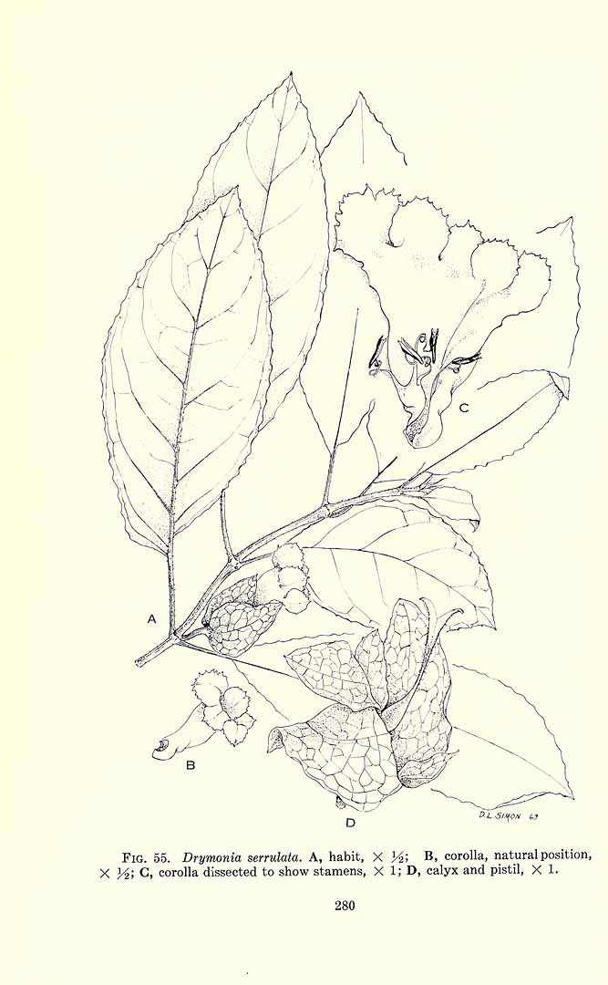 no HD illustration available (3)