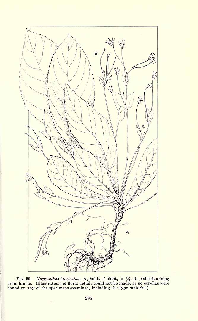 no HD illustration available (m1)