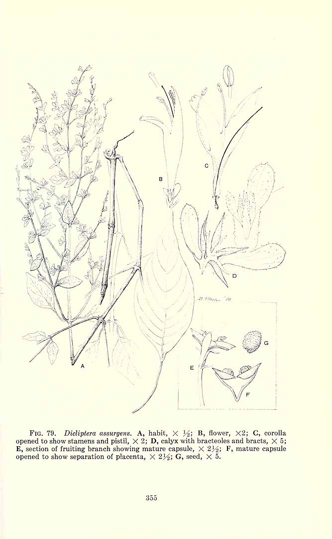 no HD illustration available (3)