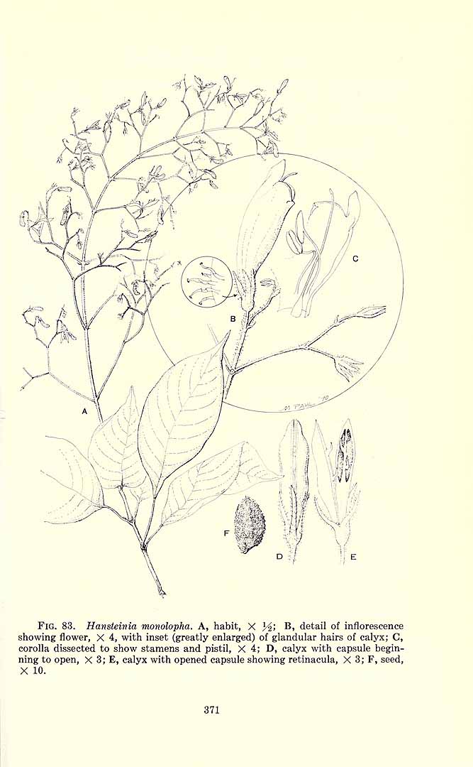 no HD illustration available (m1)