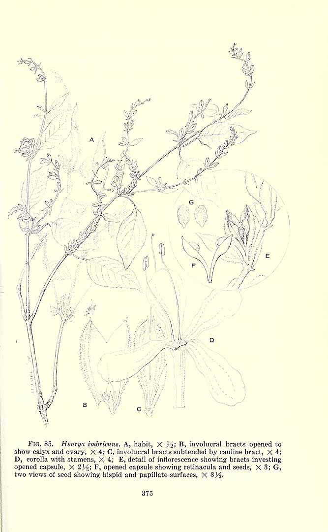no HD illustration available (m1)