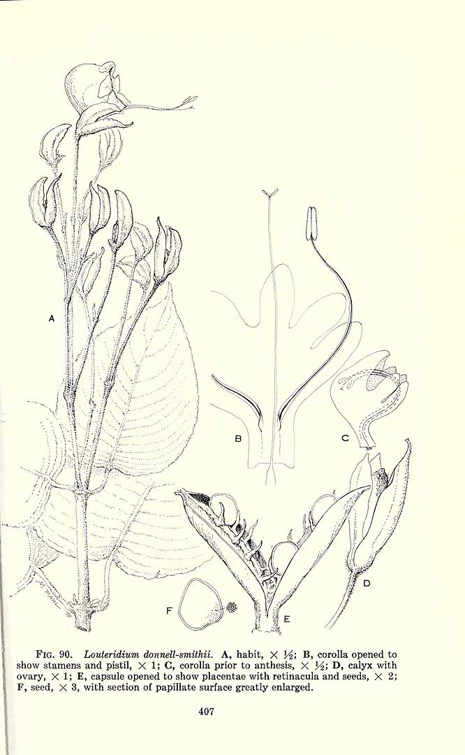 no HD illustration available (m1)