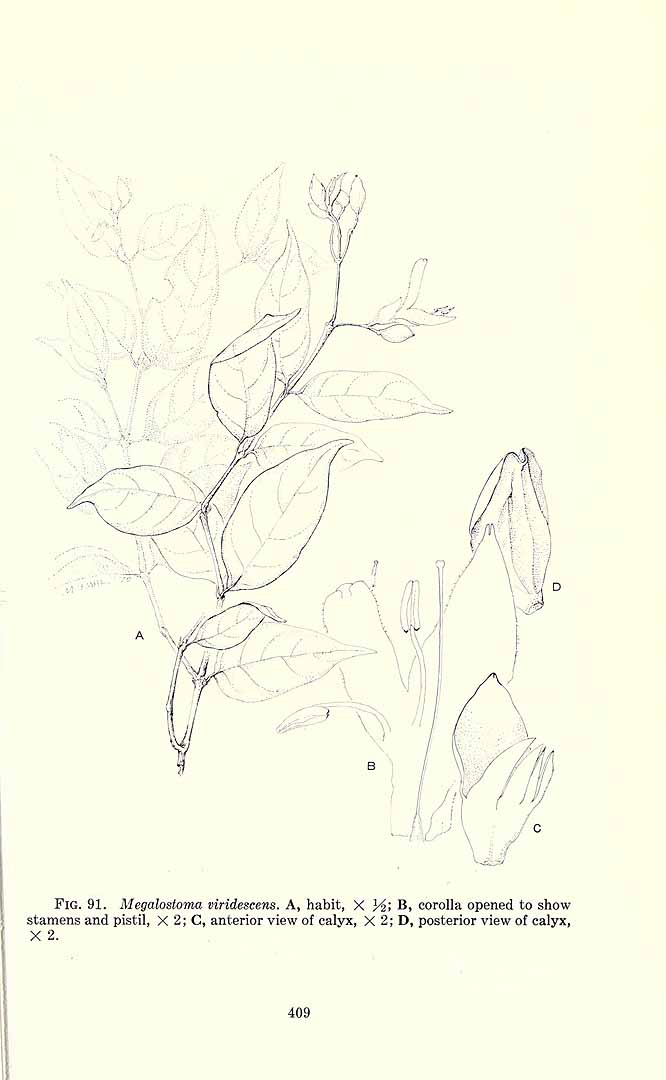 no HD illustration available (m1)