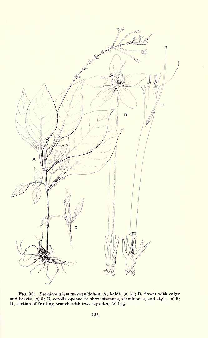 no HD illustration available (3)