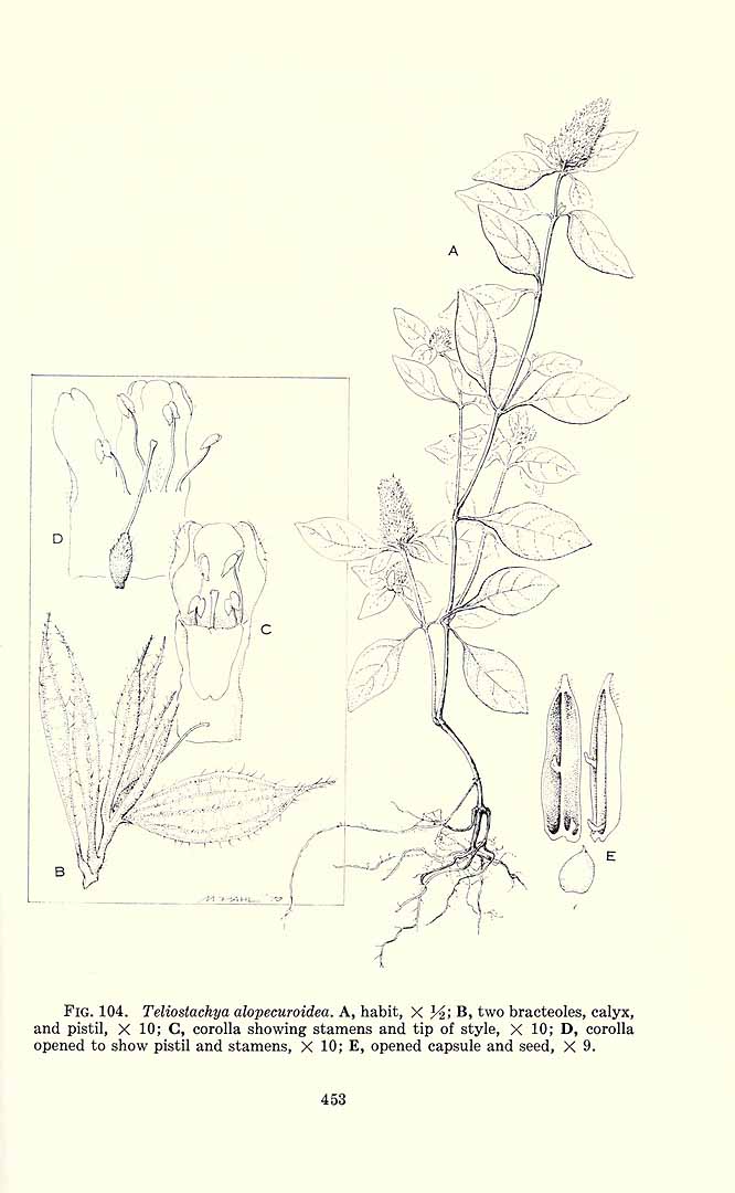 no HD illustration available (m1)